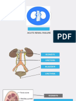 What Is: Acute Renal Failure