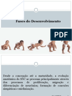 desenvolvimento infantil e desordens .pdf