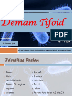 Emam Tifoid: Laporan Kasus Liliani Pramita 611 11 029