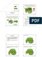 23 - Motilidad-Ecosistema-Ret-Ruminal-2010 PDF