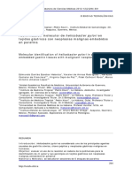Identificación Molecular de Helicobacter Pylori en Tejidos Gastricos PDF