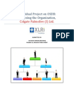 Individual Project on OSDB.docx
