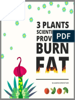 3 Plants Burn Fat Ebook 2019