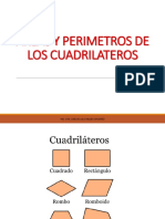 Areas, Perimetros de Figuras Planas 4