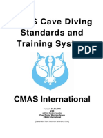 Standards Cmas-Int e Mai2006 v4.0