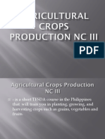 Agricultural Crops Production NC III