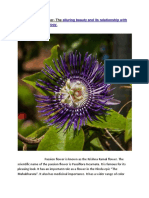 Passion Flower Is Known As The Krishna Kamal Flower