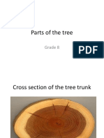 Parts of The Tree: Grade 8