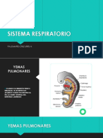 Sistema Res