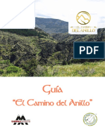 Guia Camino Del Anillo