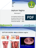 Septum Vagina