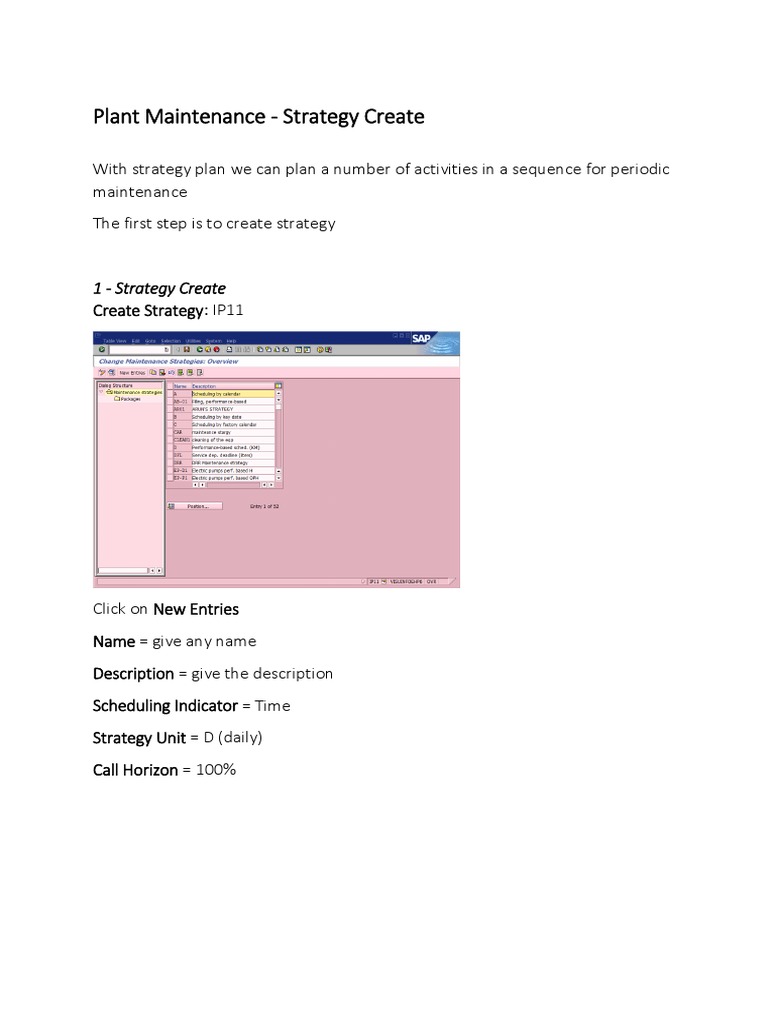 SAP PM Strategy and Maintenance Planning | PDF | Software | Computing