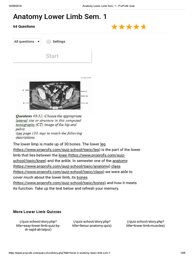 Lower Limb Anatomy Quiz for Students | PDF | Human Leg | Foot