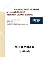 Pencernaan, Penyerapan Metabolisme Vitamin Larut Lemak