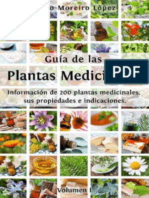 Guia De Las Plantas Medicinales Informacion De 200 Plantas