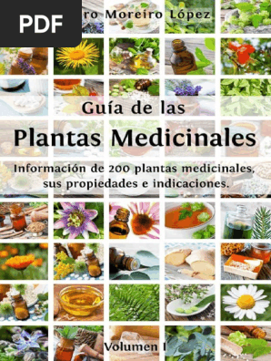 Guia De Las Plantas Medicinales Informacion De 200 Plantas