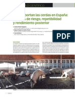 Como abortan las cerdas españolas.pdf