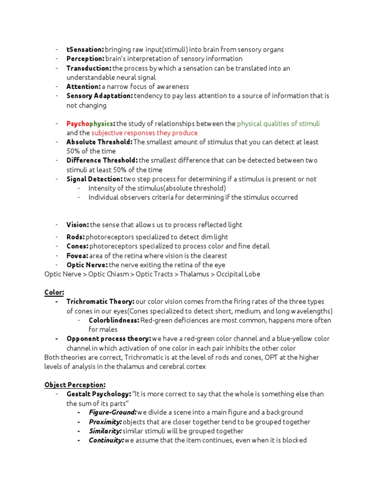 Understanding Sensation and Perception | PDF | Color | Visual Perception