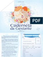 Caderneta da Gestante- SUS.pdf