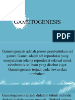 Gametogenesis