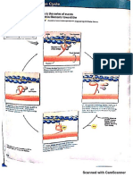 Locomot PDF