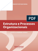 Estrutura e Processos Organizacionais 