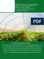 Fep 2018 Hortalizas G12 Etapa Mercado PDF