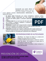 PREVENCION DE CAIDAS.pdf