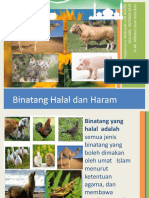 Binatang Halal Dan Haram: Ayo Mengamati!