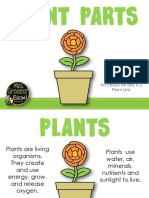An Ebook For Any K-2 Plant Unit
