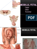 Prelegere Mobil Fetal+pelvis 15. Oct 2018