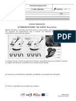 Os estudos de Mendel com ervilheiras