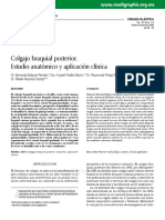 Estudio anatómico y aplicaciones clínicas del colgajo braquial posterior