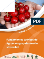 Fundamentos Teóricos de Agroecología y Desarrollo Sostenible-Final