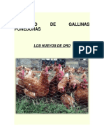 Proyecto de Gallinas Ponedoras 10