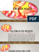 GLOBULOS ROJOS.pptx