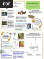 Pc10 Cieh Pest Control Procedures In The Food Industry 2015 Ant Fly
