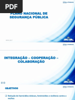 Plano Nacional de Segurança Pública