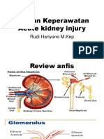 Acute Kidney Disease