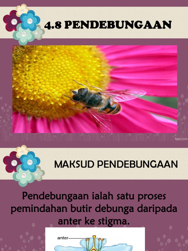 Pendebungaan Pdf