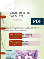 Células de La Vía Respiratoria