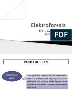 Tugas 1. Elektroforesis