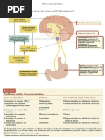Fármacos antieméticos