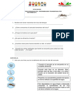 evaluación