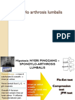 13.spondyloathrosis Lumbalis