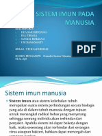 Sistem Imun Pada Manusia