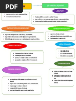 Organizador Sobre El Capitulo 1 REALISMO