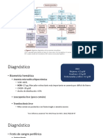 Anemia Por Deficiencia de Hierro