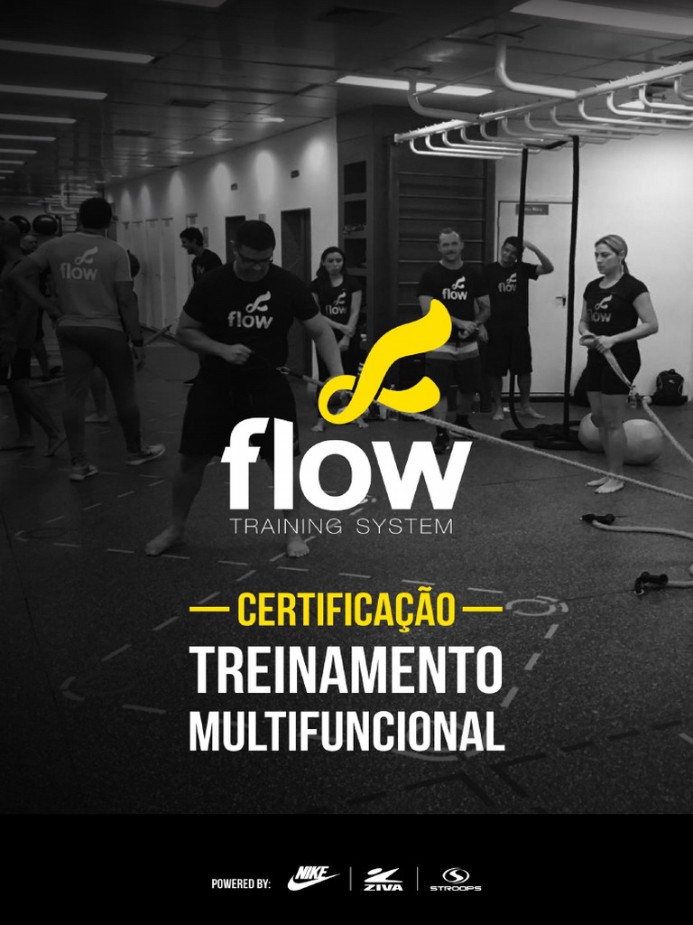 Introdução ao Flow Training | PDF | Coluna vertebral | Joelho
