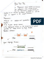 RT PCR